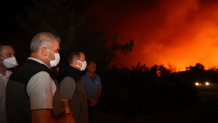 Milas yaşanan yangın, 120 hektar alanı yok etti