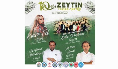 Zeytin Hasat Şenliği başlıyor, gelin canlar bir olalım…